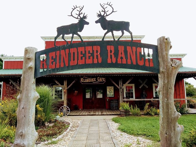 Hardy's Reindeer Ranch, Rantoul IL - Klondike cafe