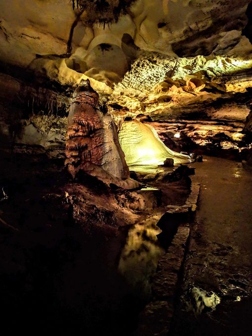 Inner Space Cavern, Georgetown TX - Cave bear