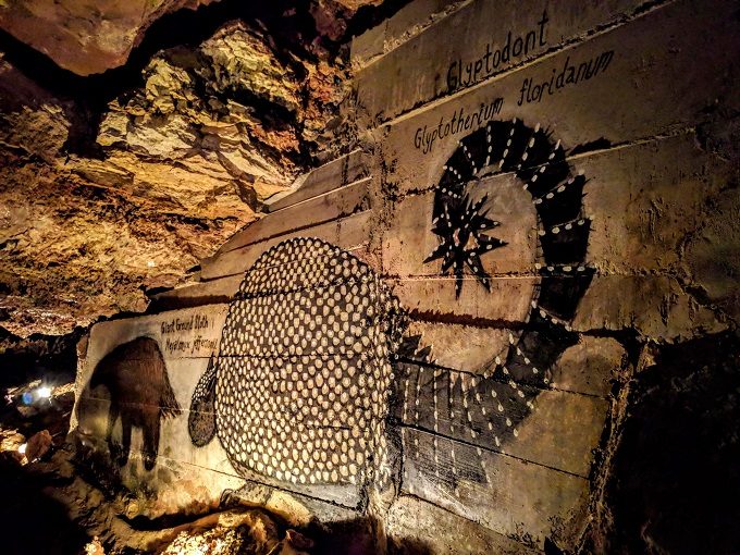 Inner Space Cavern, Georgetown TX - Giant ground sloth & glyptodont