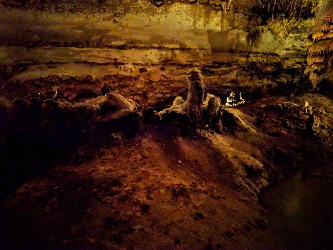Inner Space Cavern, Georgetown TX - Guano