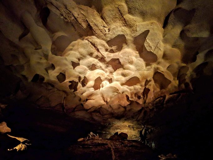 Inner Space Cavern, Georgetown TX - Sand dune ceiling