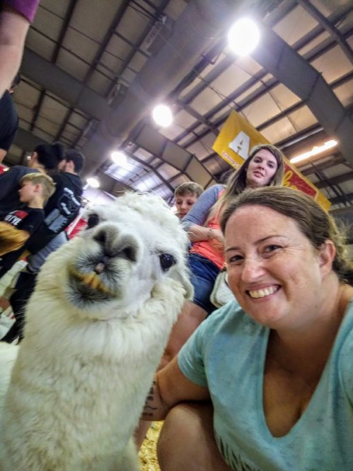 Llama selfie at Tulsa State Fair