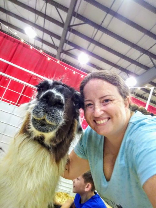 Llama selfie at Tulsa State Fair