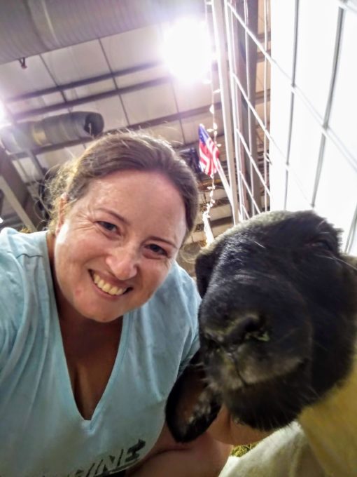 Sheep selfie at Tulsa State Fair