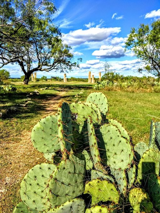 5 Fort Phantom Hill, Abilene TX - Cactus