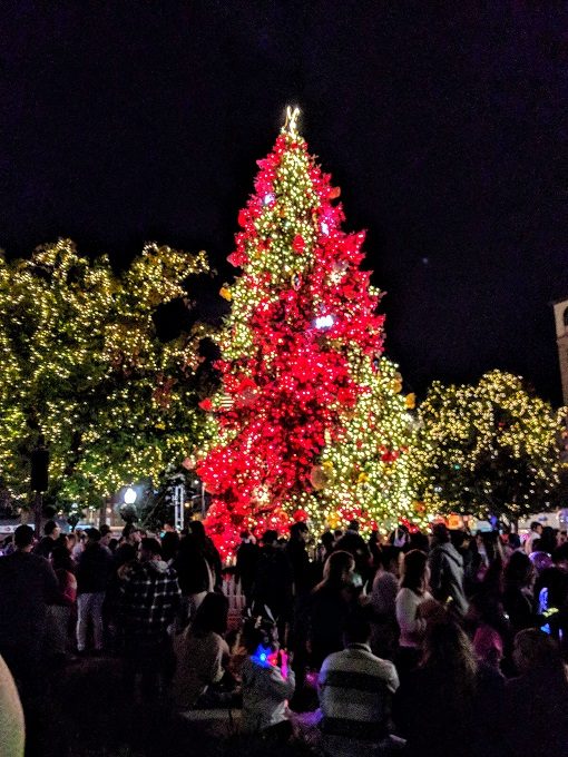 San Antonio Christmas tree in Travis Park, San Antonio TX