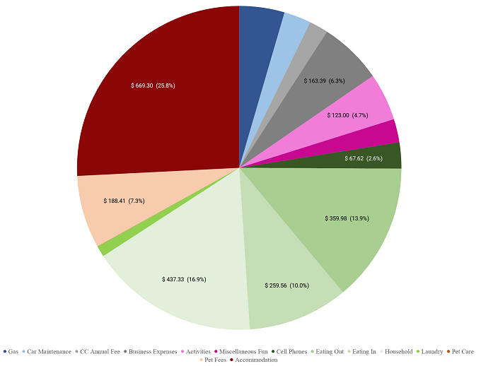 Breakdown of January 2019 spending