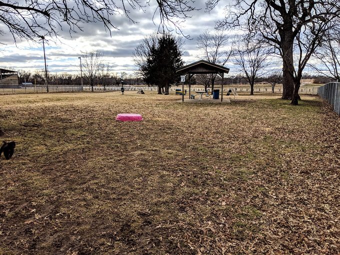 Large dog section of Parsons Dog Park in Parsons, Kansas