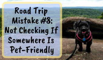 Road Trip Mistake #8 Not Checking If Somewhere Is Pet-Friendly