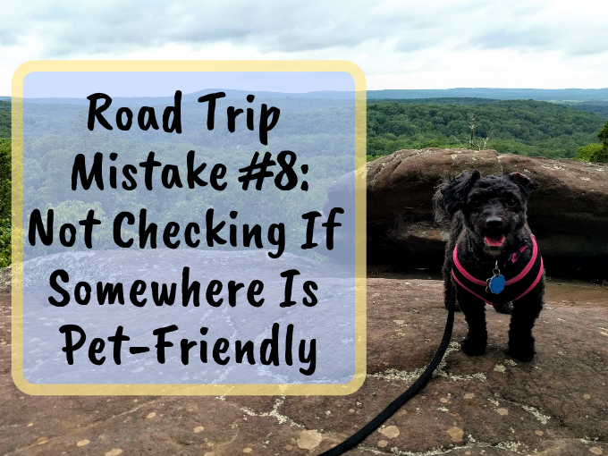 Pet friendly road store trip