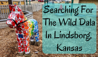 Searching For The Wild Dala In Lindsborg, Kansas