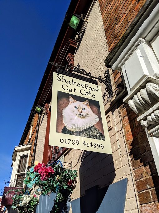 ShakesPaw Cat Cafe in Stratford-Upon-Avon