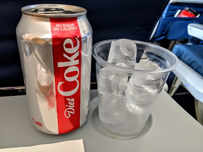Delta Amsterdam to Boston Economy Class - Diet coke