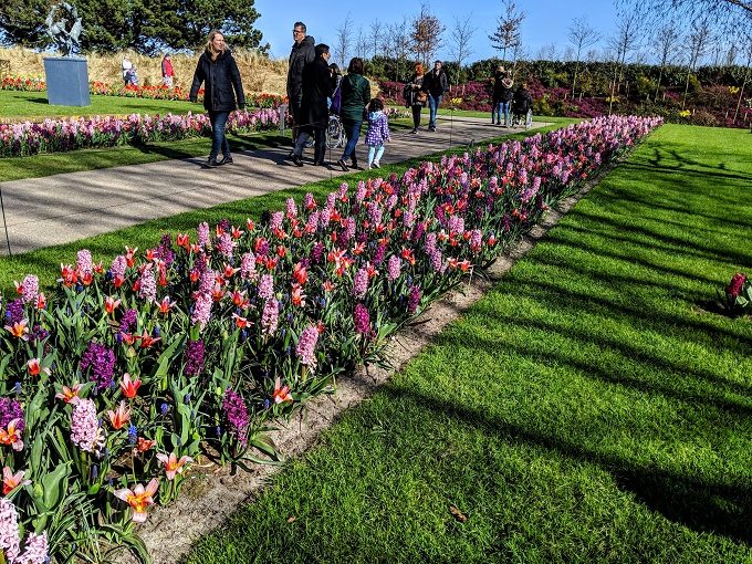 Keukenhof Tulip Gardens in Amsterdam, Netherlands 1