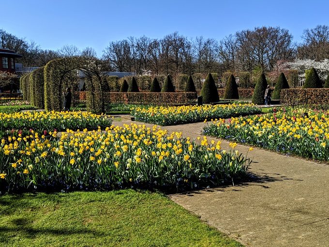 Keukenhof Tulip Gardens in Amsterdam, Netherlands 2