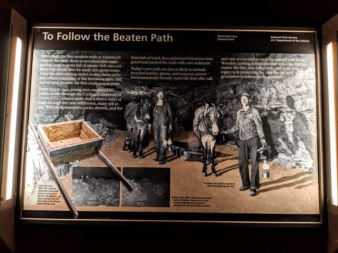 Information about Mammoth Cave's trails