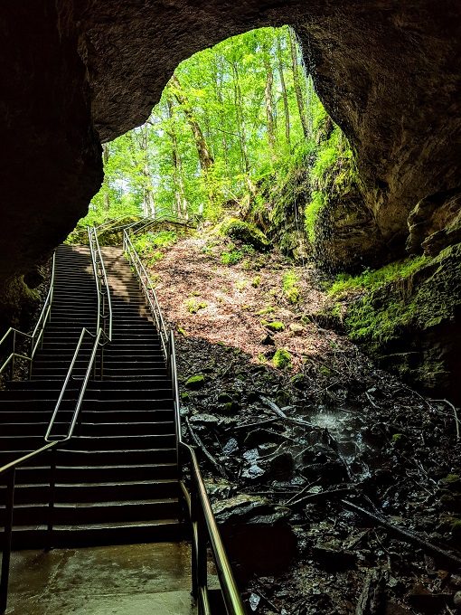 Stairs out of Mammoth Cave