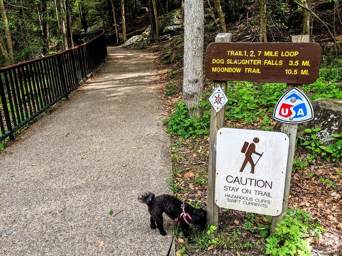 Start of the Sheltowee Trace Trail to Dog Slaughter Falls