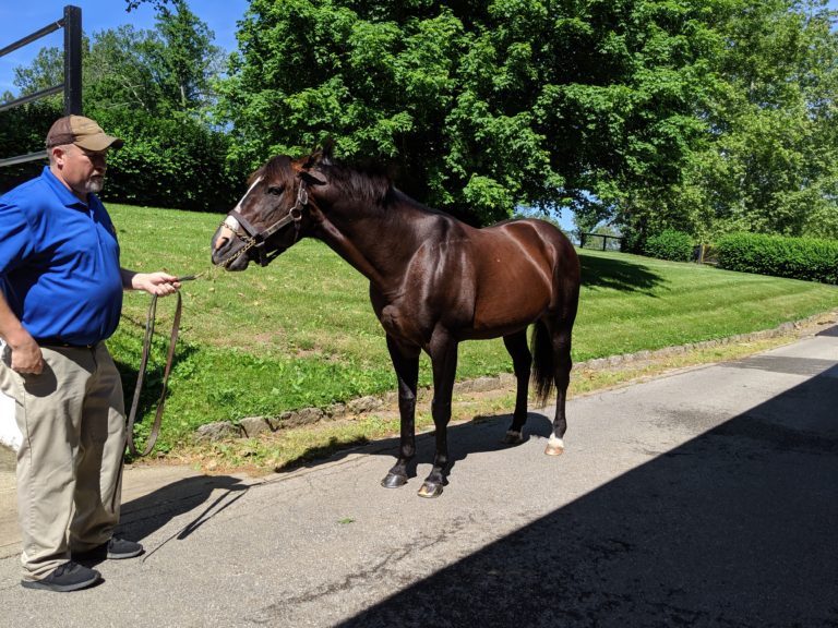 Touring Claiborne Farm, The Resting Place Of Secretariat In Paris ...