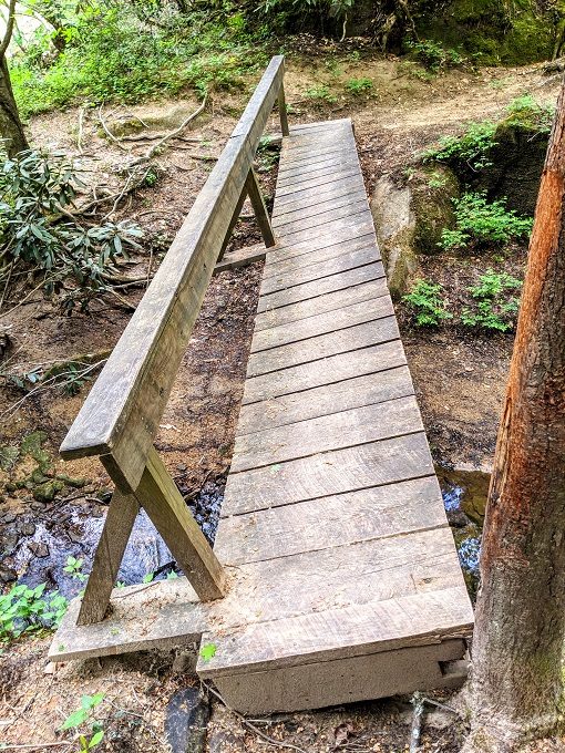 Wonky bridge on the Sheltowee Trace Trail at Cumberland Falls State Resort Park