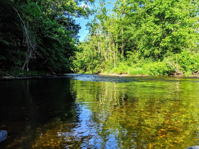 A more still part of the Farmington River