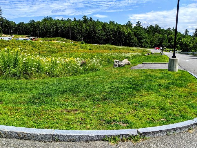 Element Hanover-Lebanon, New Hampshire - Grassy area at front of the hotel