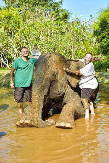 Elephant Mud Fun at Bali Zoo