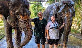 Elephant Mud Fun Experience - Showers With Elephants