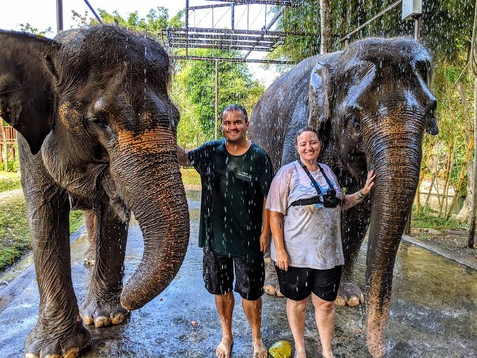 Elephant Mud Fun Experience - Showers With Elephants