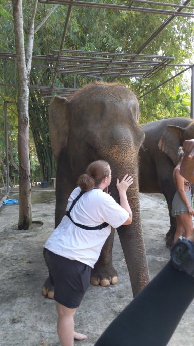 Kissing an elephant