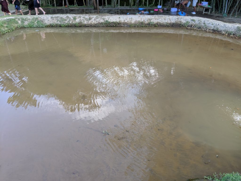 Elephant Mud Fun at the Bali Zoo NHJR (31) - No Home Just Roam