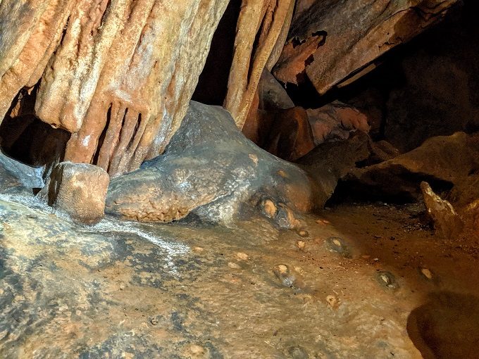 Grand Caverns, Virginia - Shark