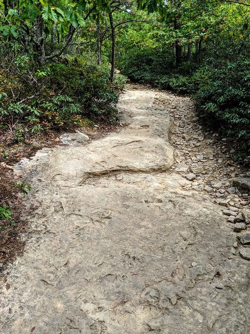 McAfee Knob hike - Head up this rocky path