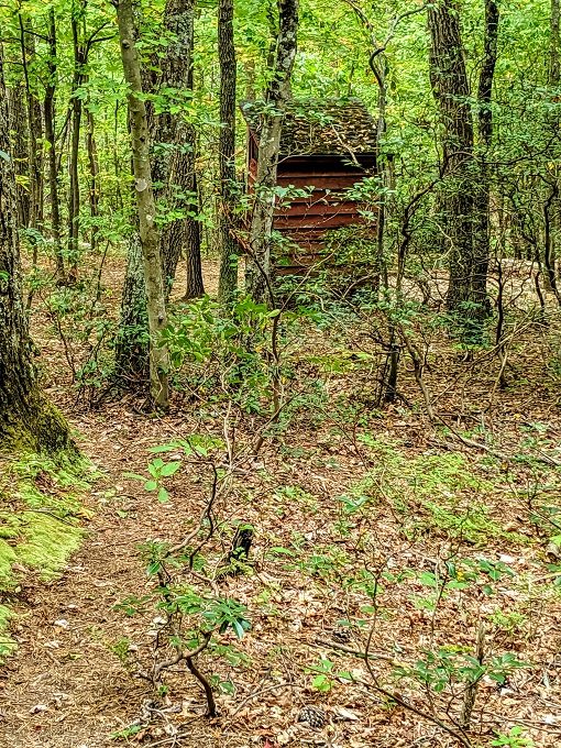 McAfee Knob hike - Outhouse