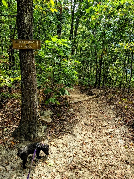 McAfee Knob hike - Trail sign