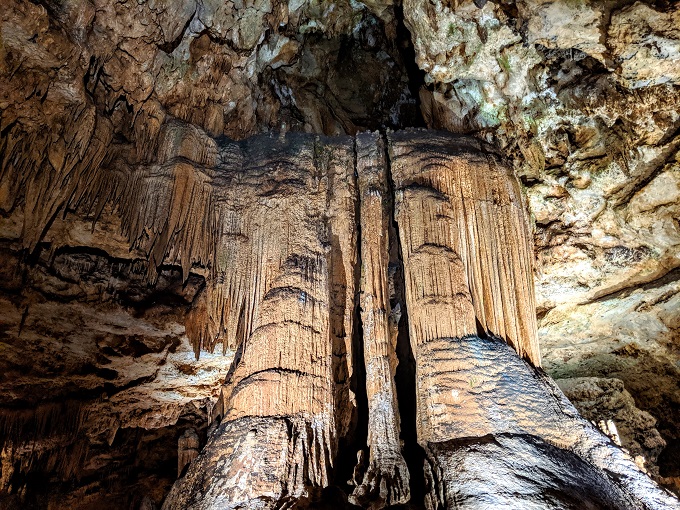 can i bring my dog to luray caverns