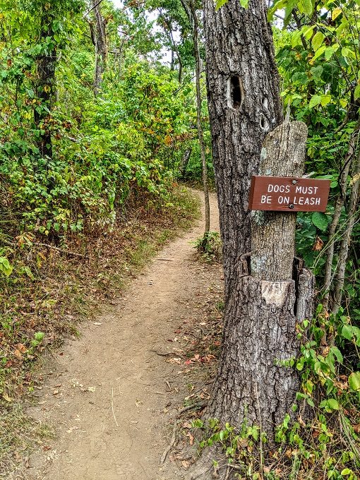 Pet-friendly hiking trail