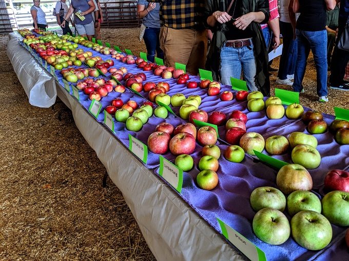 Shenandoah Valley Apple Harvest Festival