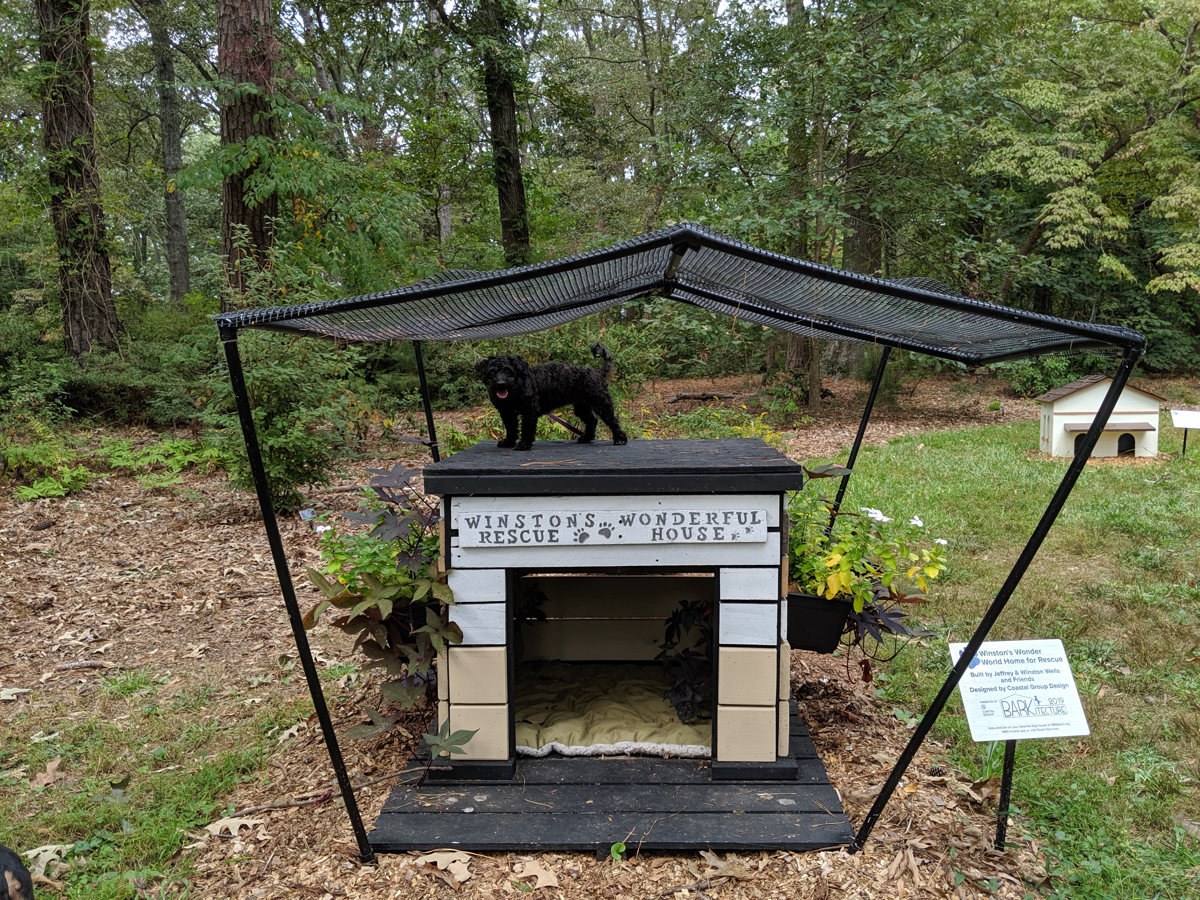 are dogs allowed at norfolk botanical gardens