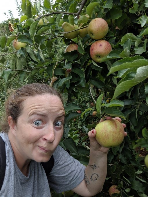 Apple picking at Carter Mountain Orchard in Charlottesville, VA