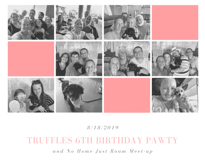 Truffles 6th Birthday Pawty at Momac Brewery Portsmouth, VA