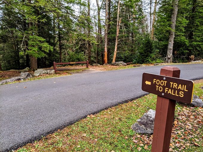 Accessible path to the falls