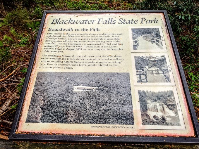 Blackwater Falls State Park - Information board 3