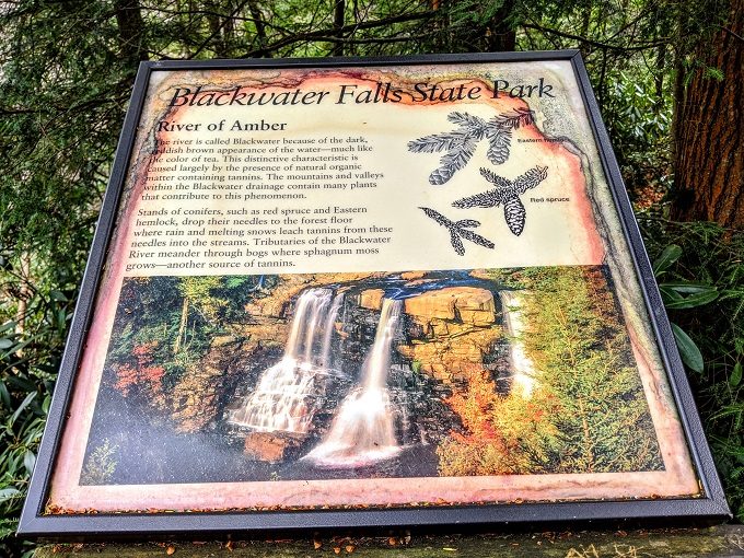 Blackwater Falls State Park - Information board 4