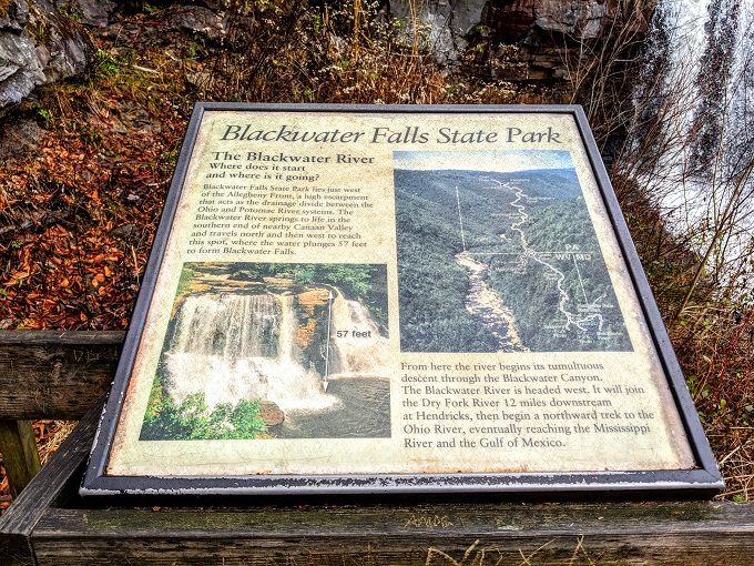 Blackwater Falls State Park - Information board 5