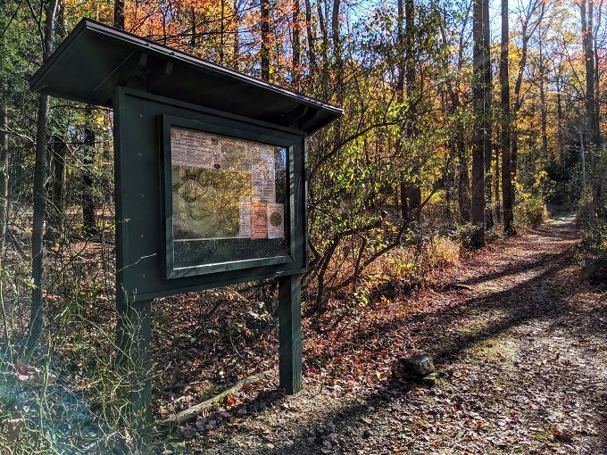 Coopers Rock State Forest, West Virginia - Meeting back up at the Roadside Trail