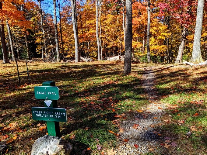 Coopers Rock State Forest, West Virginia - Path to the Eagle Trail