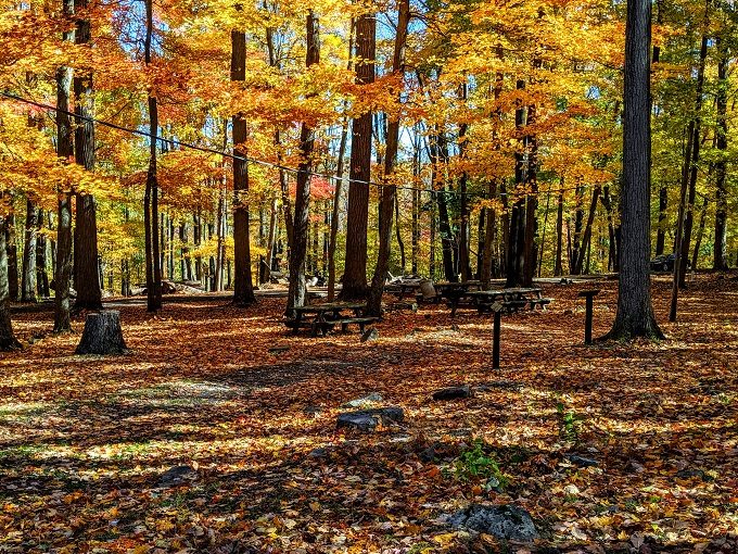 Coopers Rock State Forest, West Virginia - Picnic area