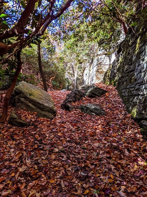 Coopers Rock State Forest, West Virginia - Rock City Trail