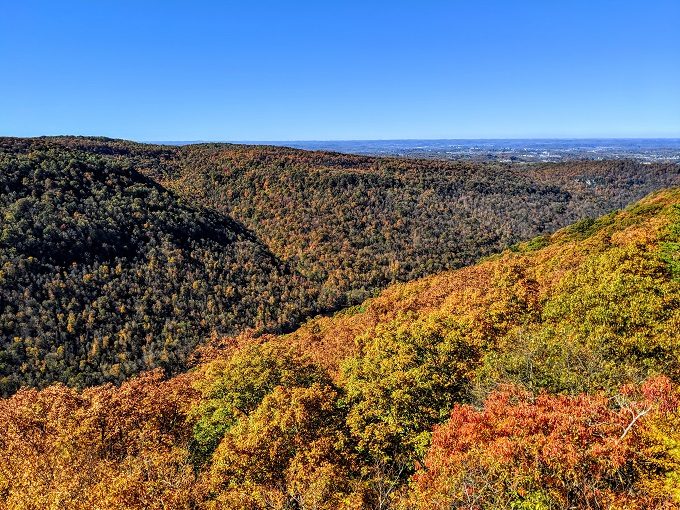 Coopers Rock State Forest, West Virginia - View from Coopers Rock Overlook
